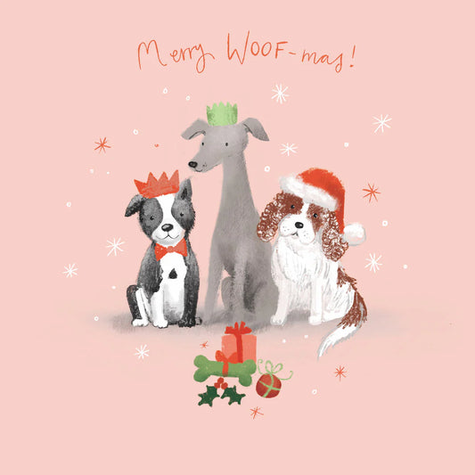 Charity Christmas Card 2025 10pk BCNA Dog Presents