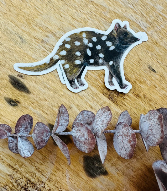 Pigment by Monica Reeve Die Cut Sticker Quoll