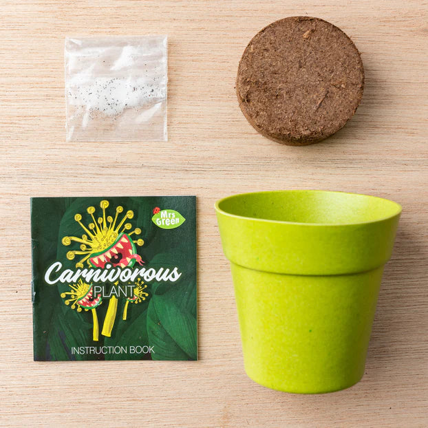 Mrs Green Grow Your Own Carnivorous Plant