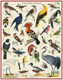 Cavallini Vintage in Tube 1000pc Jigsaw Puzzle British Birds