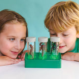 4M KidzLabs Glow Critter Lab