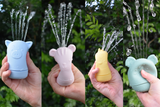 Koala Dream Brave Beasts Animal Pourers