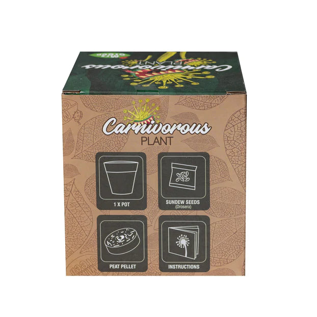 Mrs Green Grow Your Own Carnivorous Plant