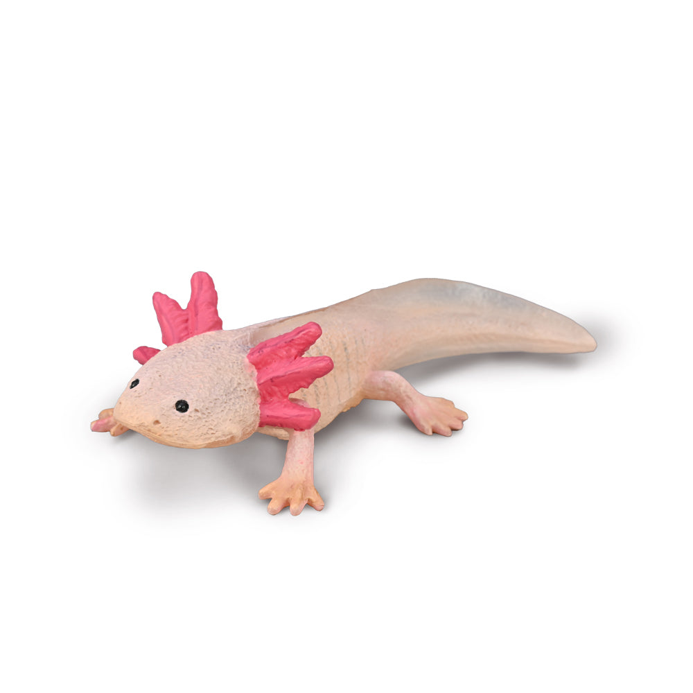 CollectA Amphibian Figurine Axolotl