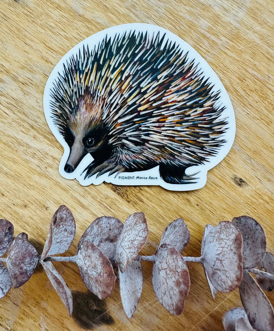 Pigment by Monica Reeve Die Cut Sticker Echidna