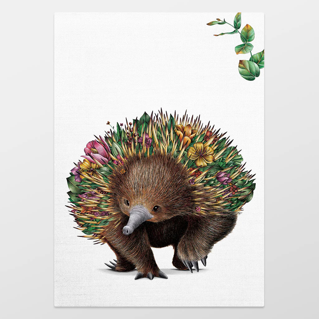 Marini Ferlazzo Organic Cotton Tea Towel Echidna Bushwalk