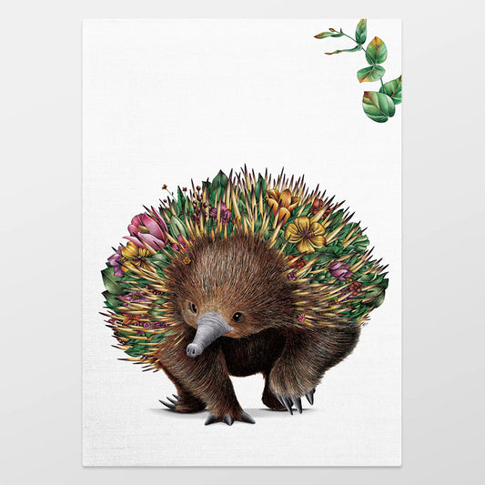Marini Ferlazzo Organic Cotton Tea Towel Echidna Bushwalk
