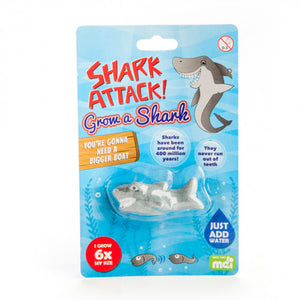 Grow Your Own Shark