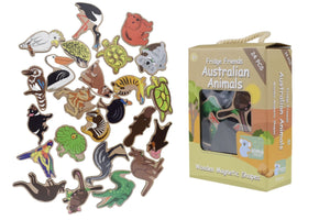 Koala Dream Fridge Friends Magnetic Australian Animals