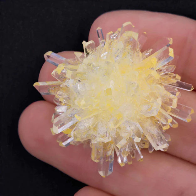 Heebie Jeebies Crystal Grow & Explore