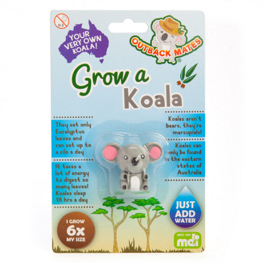 Grow Your Own Koala