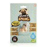 Grow Your Own Pug