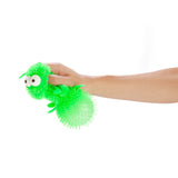 Squishy Caterpillar Fidget Toy