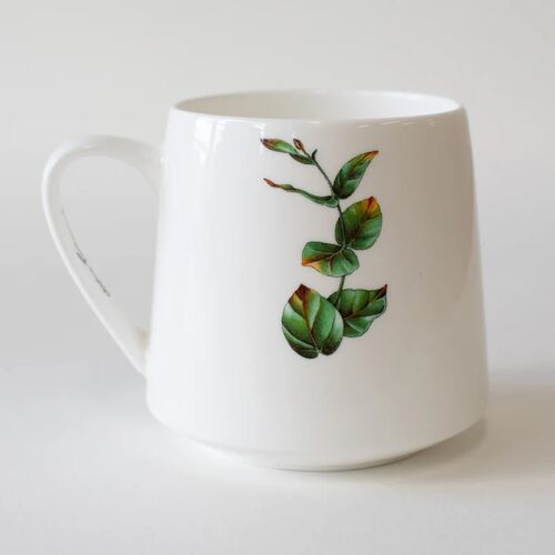 Marini Ferlazzo Echidna Bushwalk China Mug