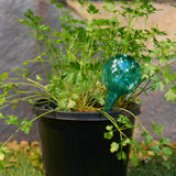 Annabel Trends Plant Water Globes Set of Three Green