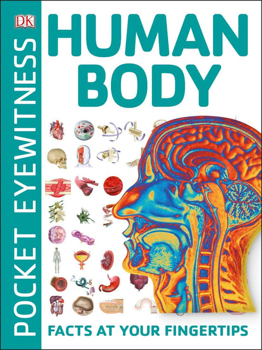 Cover of Pocket Eyewitness: Human Body by DK — compact reference book with colourful visuals showing human anatomy for children.