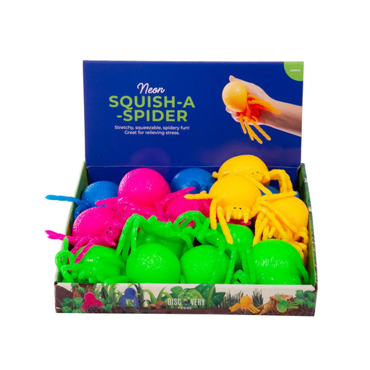 Discovery Zone Neon Squish A Spider 4 Assorted Colours