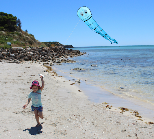 High As A Kite Single Line Kite Jellyfish