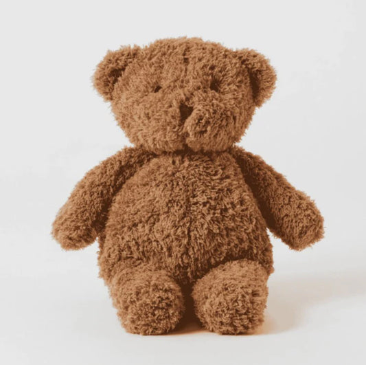 Jiggle and Giggle Cuddly Bear 2 Assorted Colours