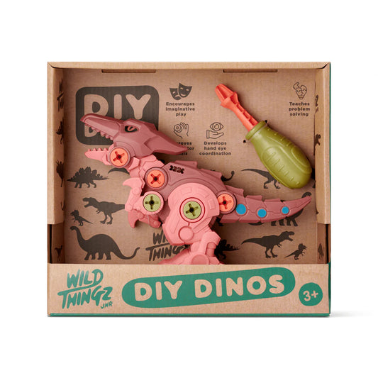 Johnco Wild Thingz DIY Dino Pterosaur in a box suitable for kids age 3+