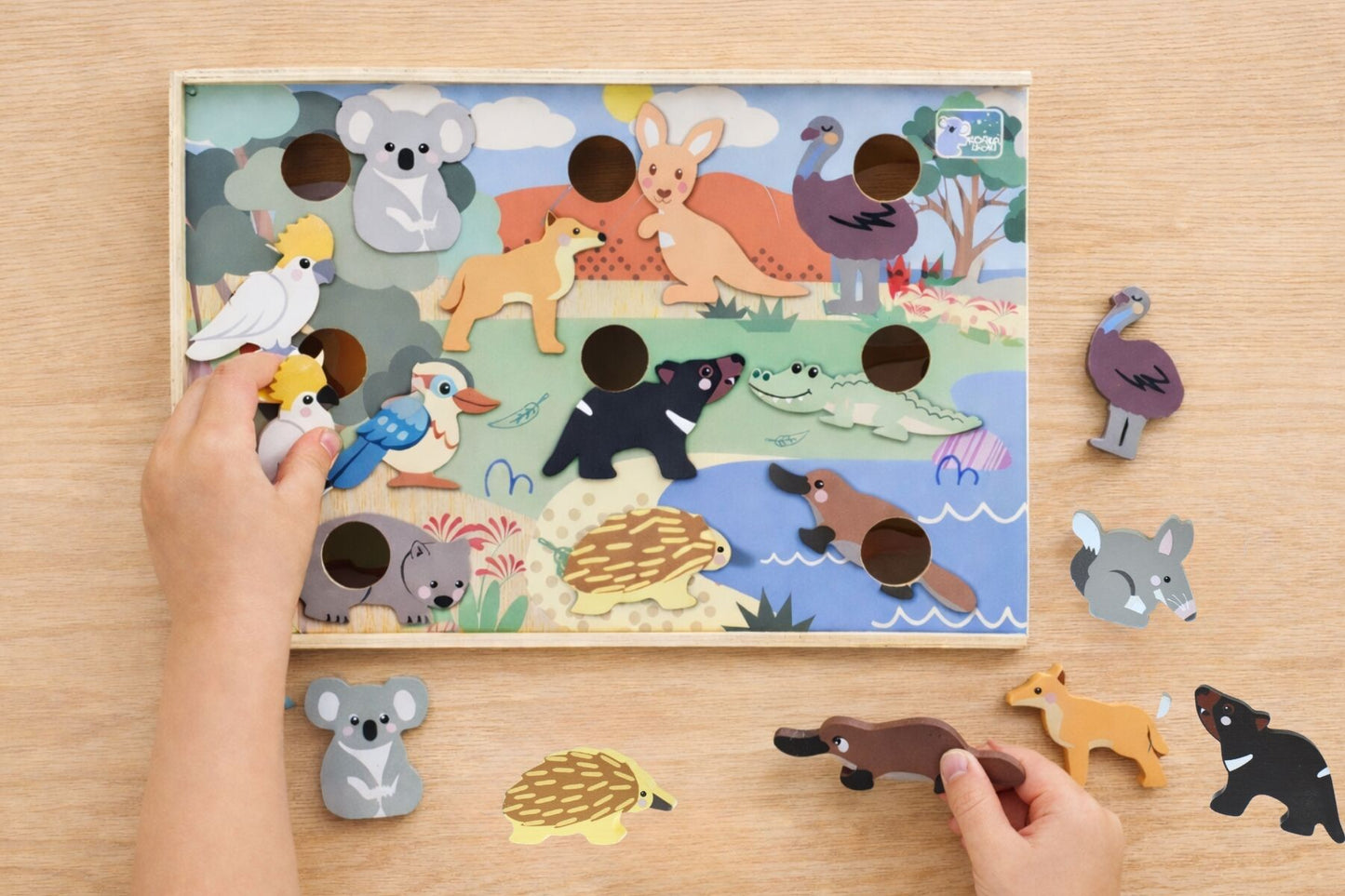 Koala Dream Bush Buddies Aussie Animal Hotel 12pc Box