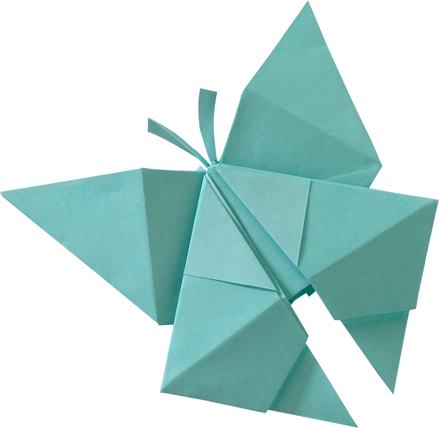 Teal origami butterfly on a white background from Peter Pauper Press Origami Paper 20 Vivid Colours 500 Sheets