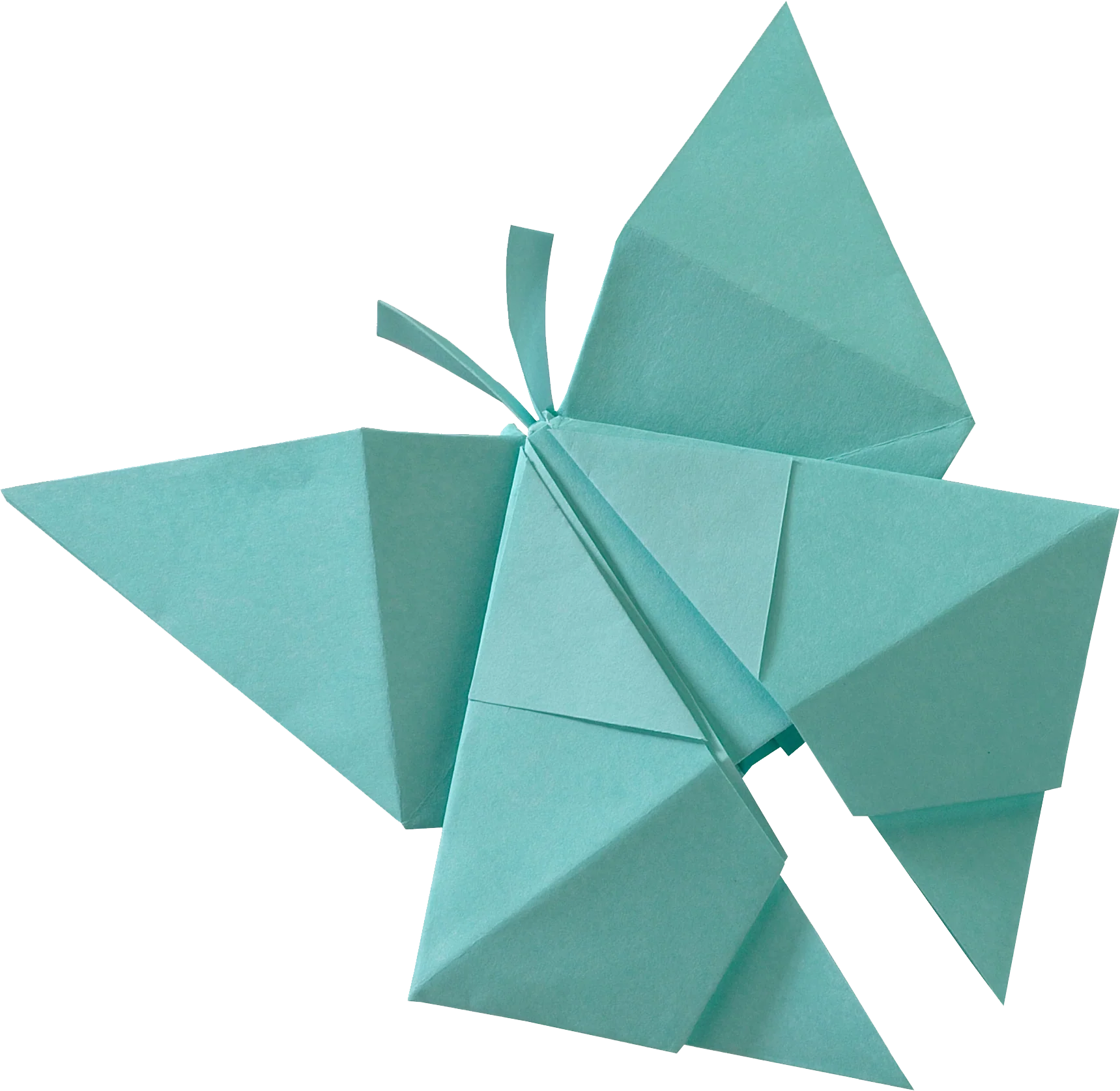 Teal origami butterfly on a white background from Peter Pauper Press Origami Paper 20 Vivid Colours 500 Sheets