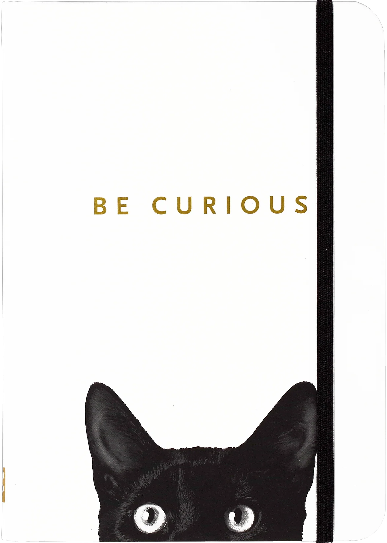 Peter Pauper Press Small Journal Curious Cat Notebook with a black cat illustration and 'Be Curious' text on a white background