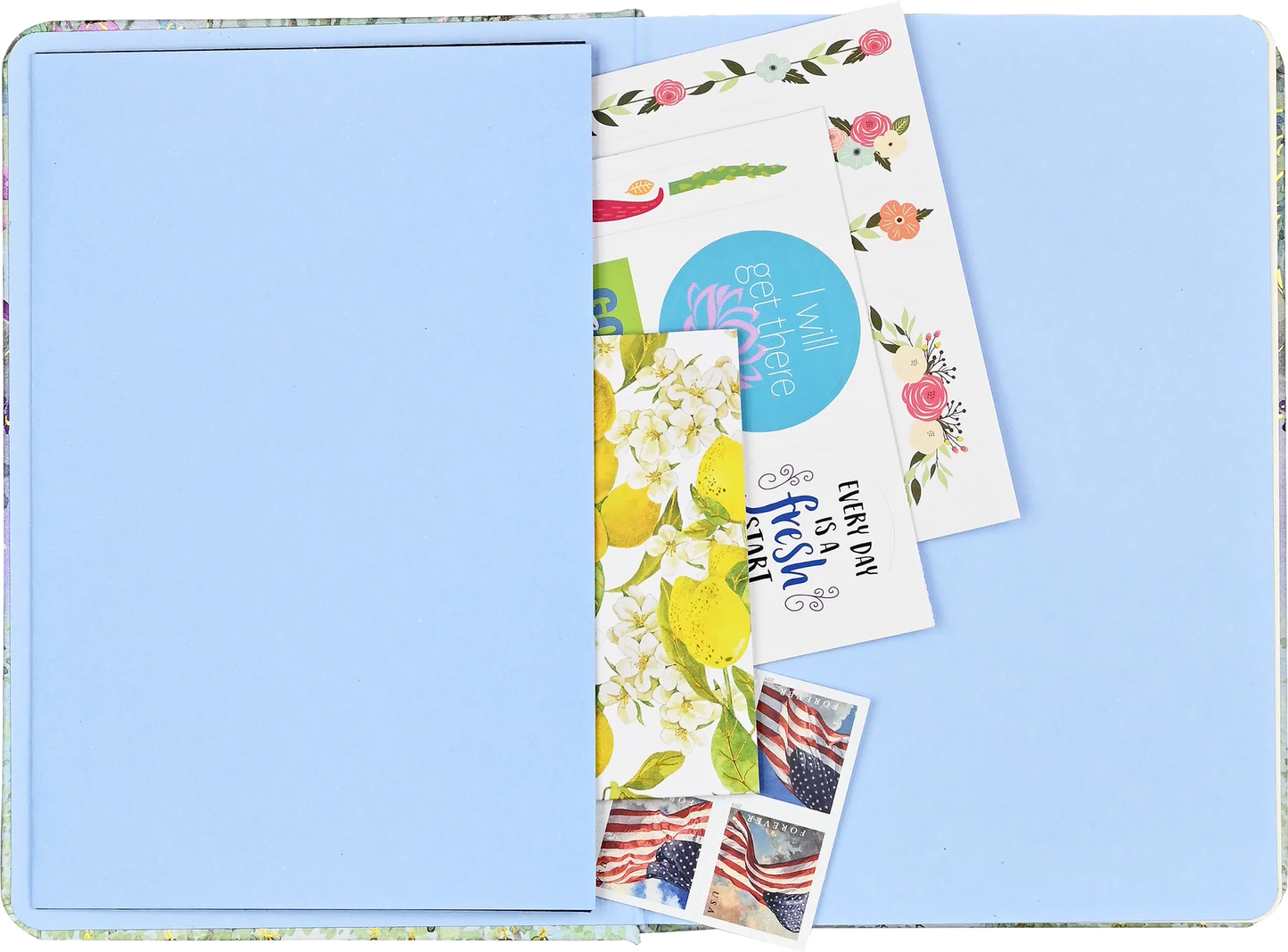 Peter Pauper Press Small Journal Dragonflies and Dandelions