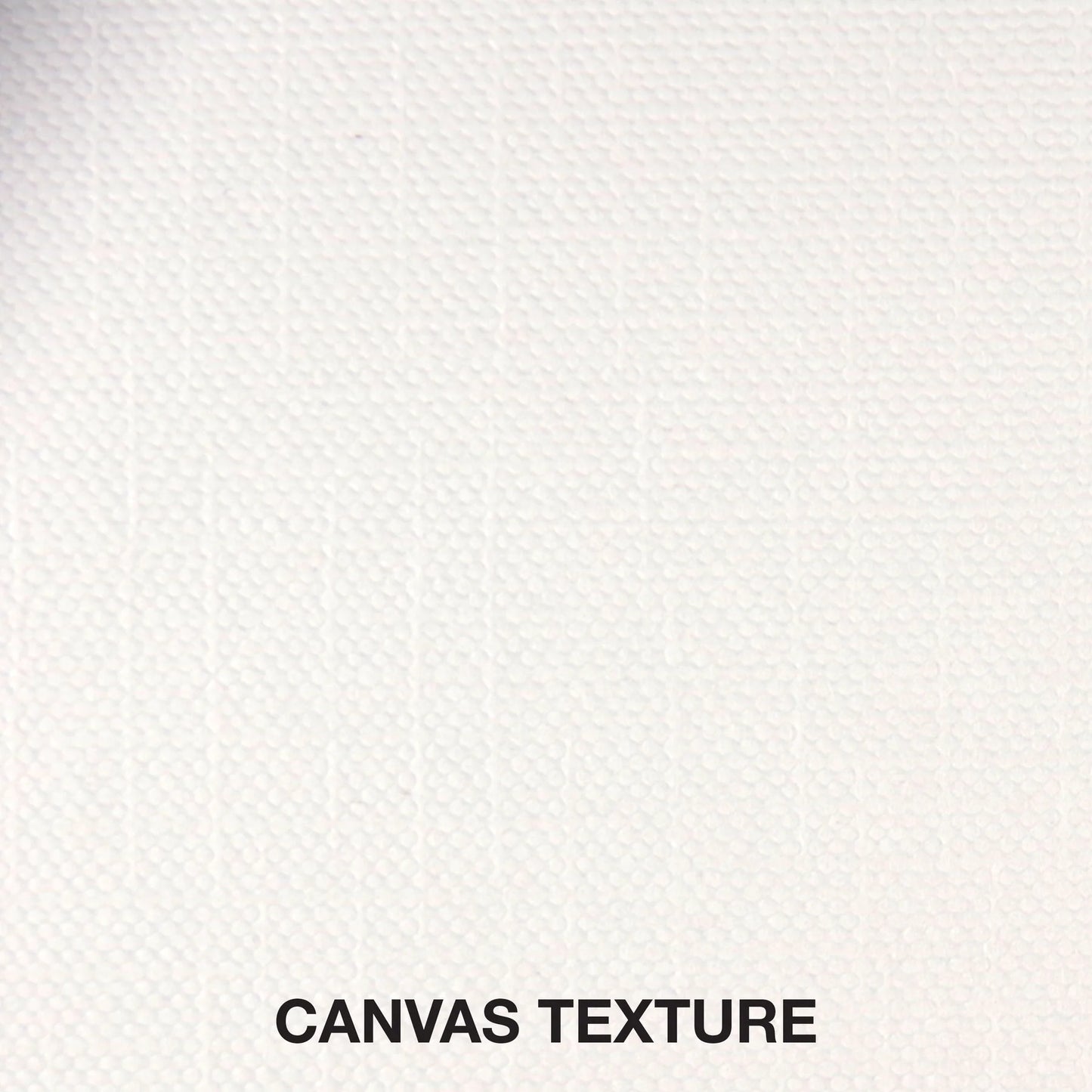 Peter Pauper Press Studio Series Canvas Paper Pad 10 Sheets Textured white background with 'Canvas Texture' label