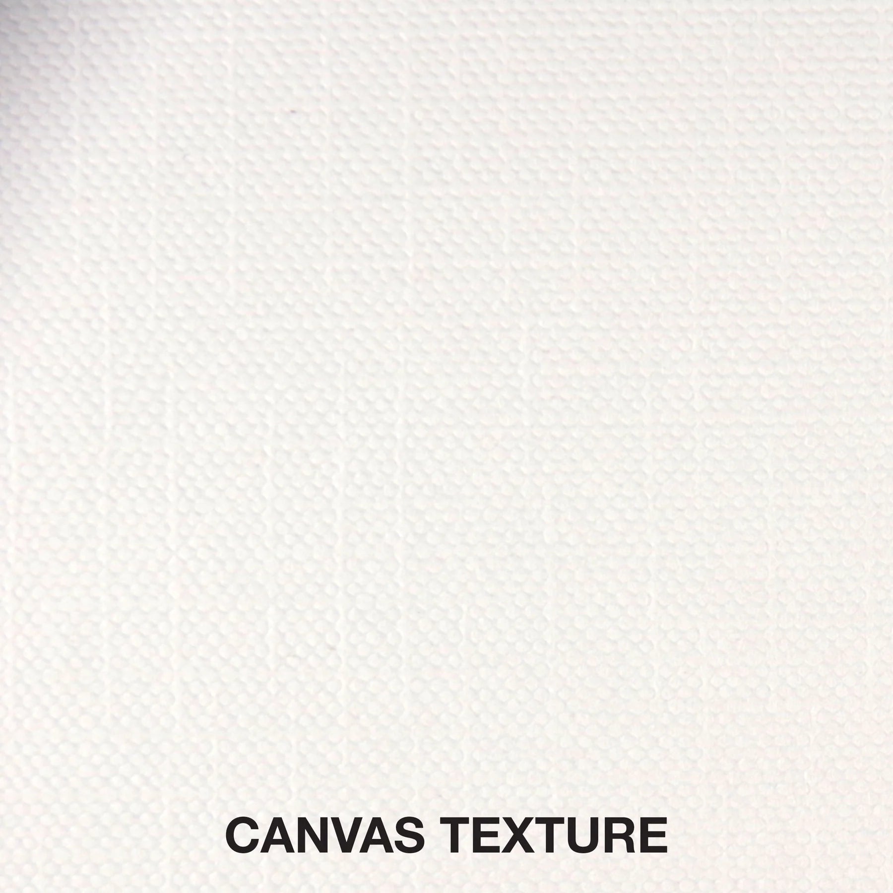 Peter Pauper Press Studio Series Canvas Paper Pad 10 Sheets Textured white background with 'Canvas Texture' label