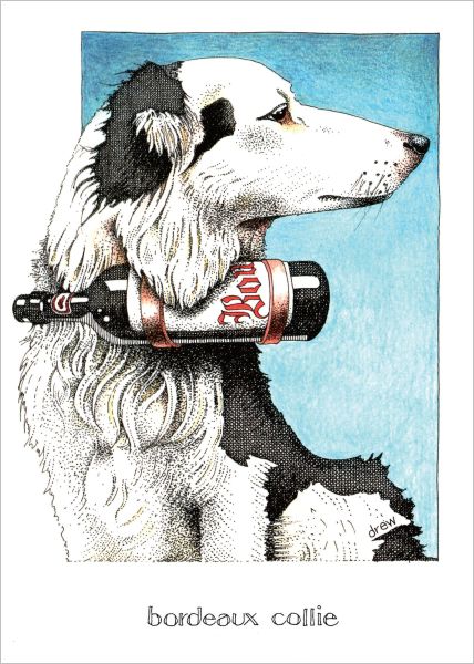 Simon Drew Greeting Card – Bordeaux Collie featuring humorous illustration of a Border Collie with wine pun, printed in Australia.
