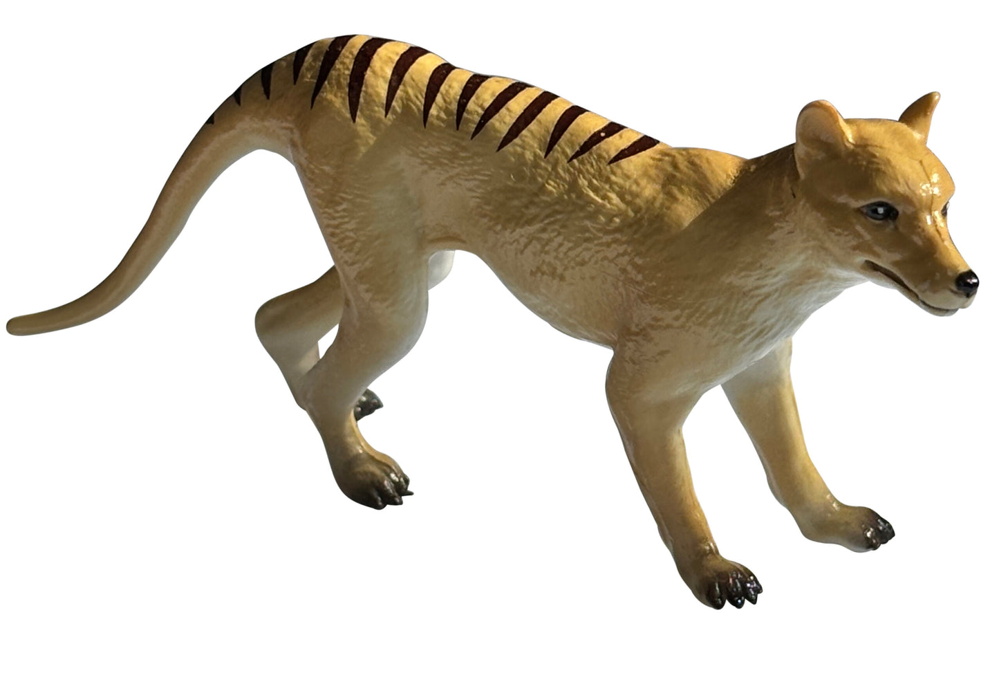 Small Plastic Animal Tasmanian Tiger (Thylacine)