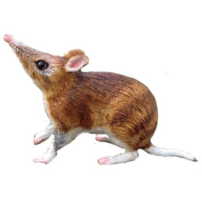 Small Plastic Animal Bandicoot