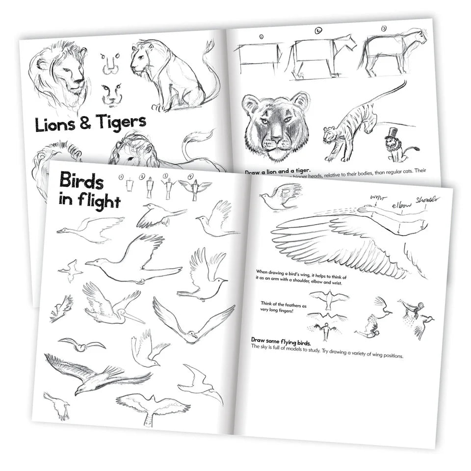 eeBoo Learn How to Draw Animals Art Book