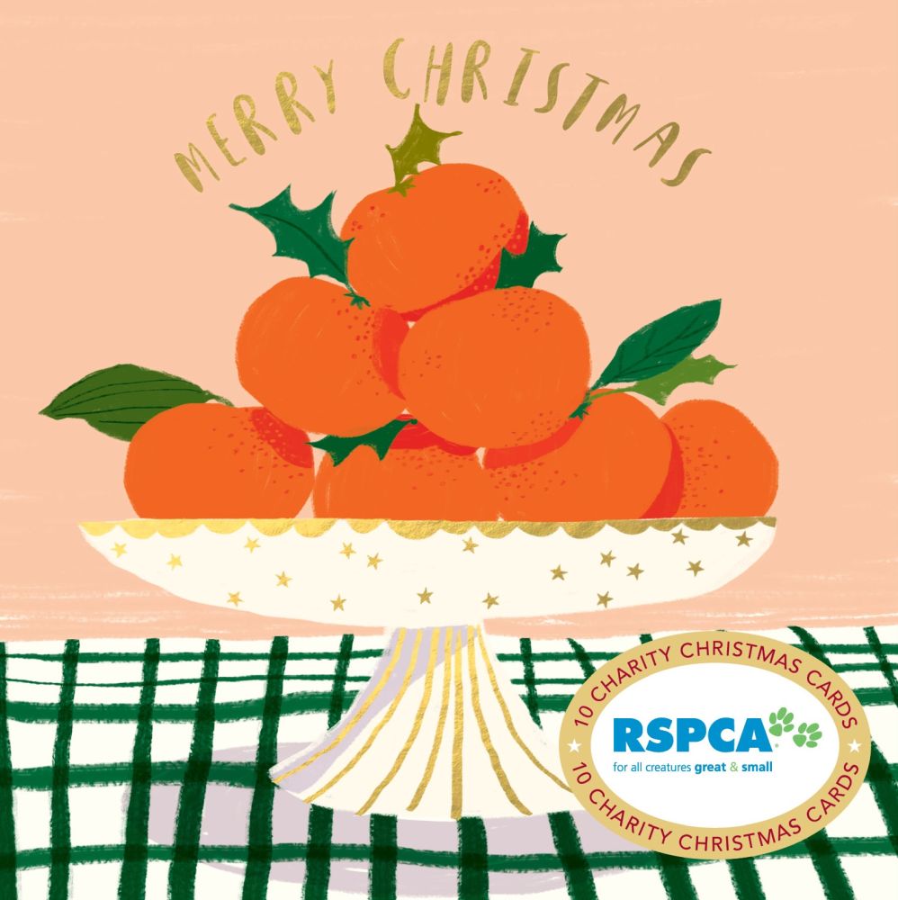 Charity Christmas Card 2026 RSPCA Bowl of Delights