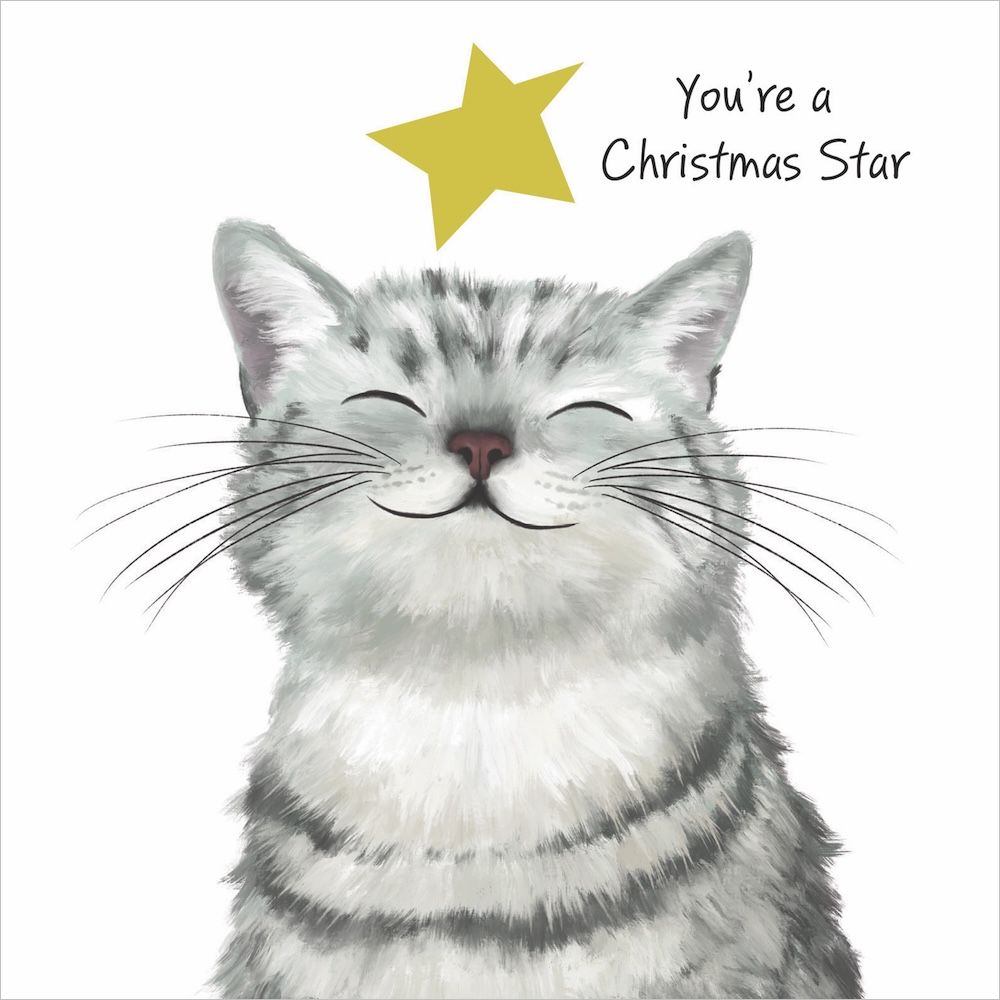 Charity Christmas Card 2026 RSPCA Christmas Star