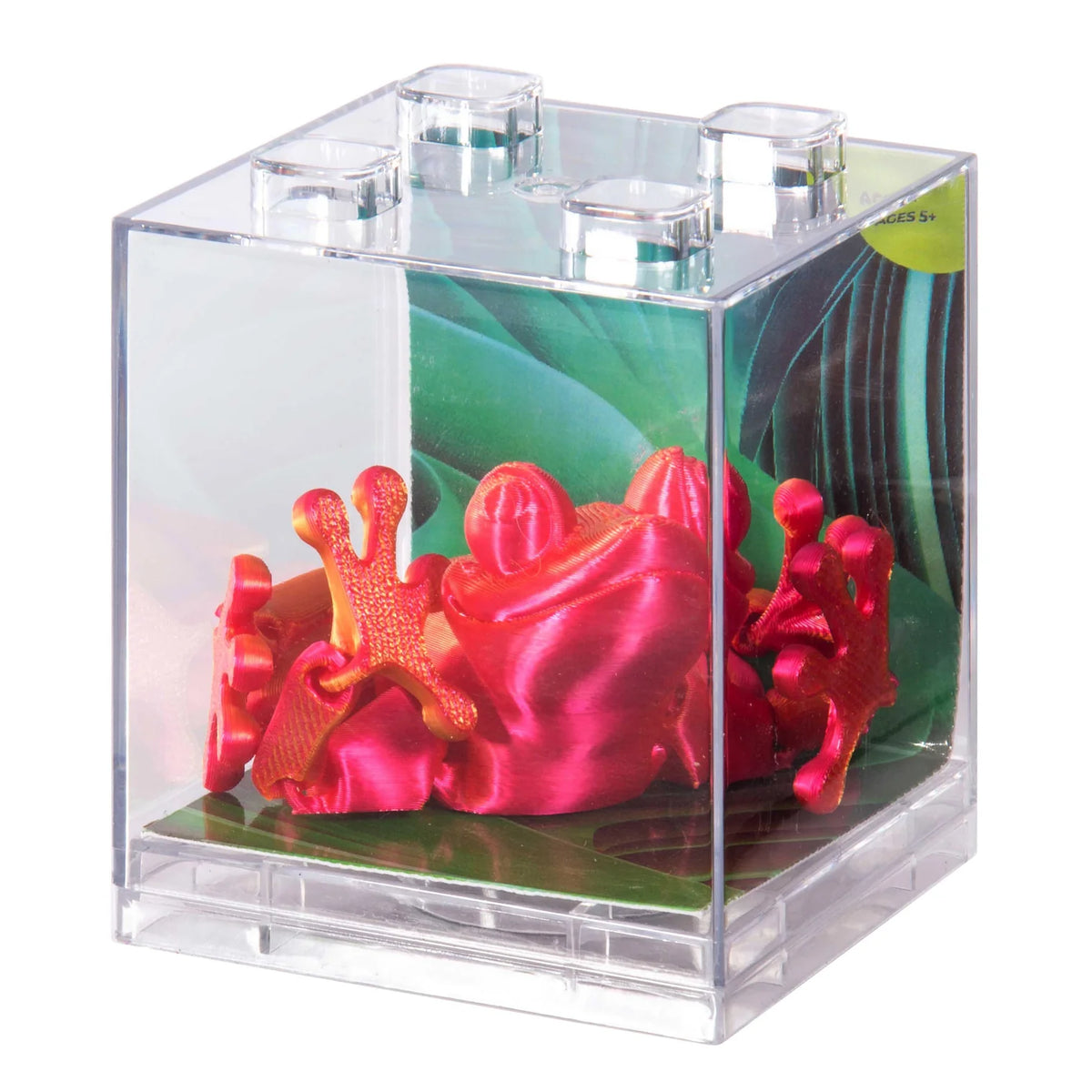 Discovery Zone 3D Sensory Frog
