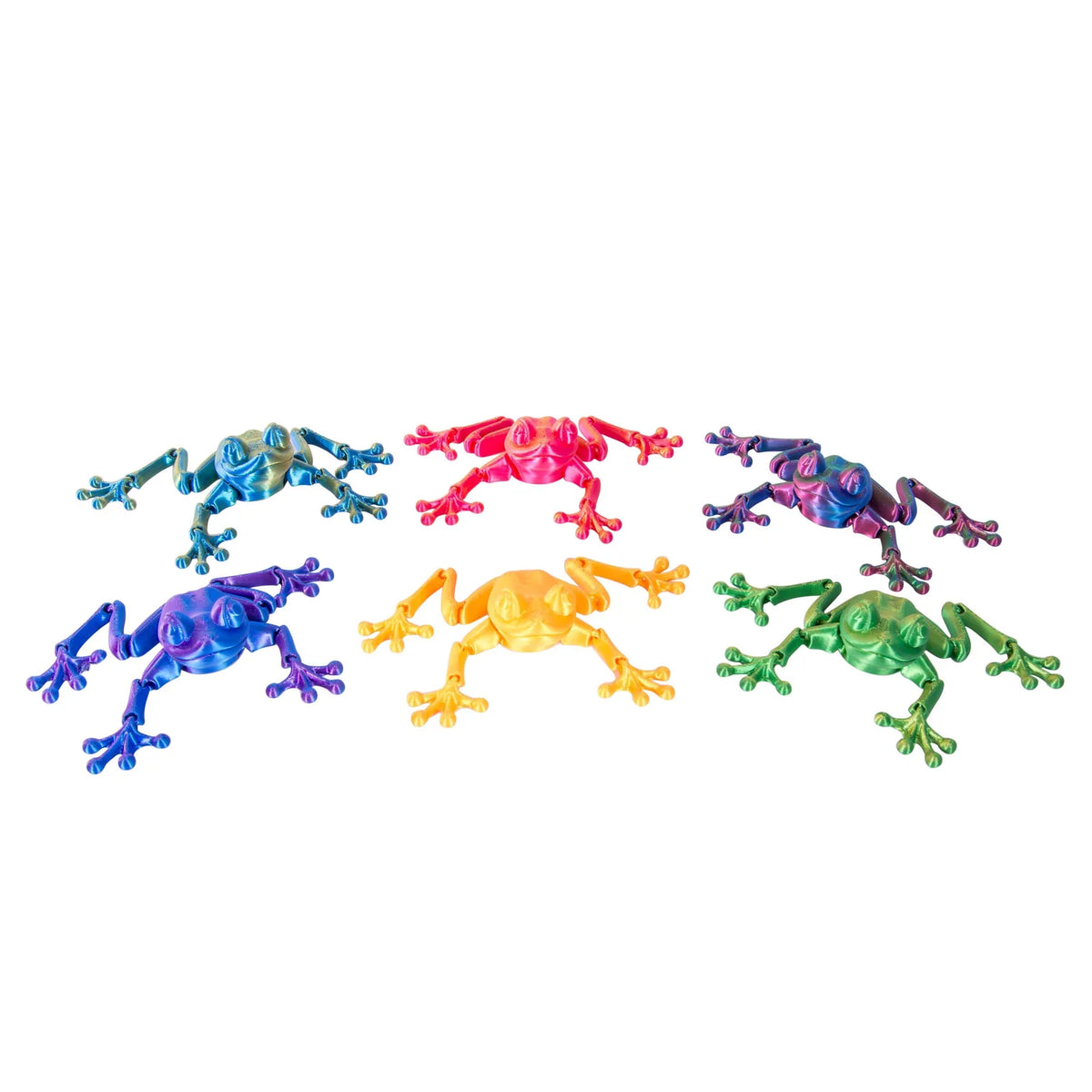 Discovery Zone 3D Sensory Frog