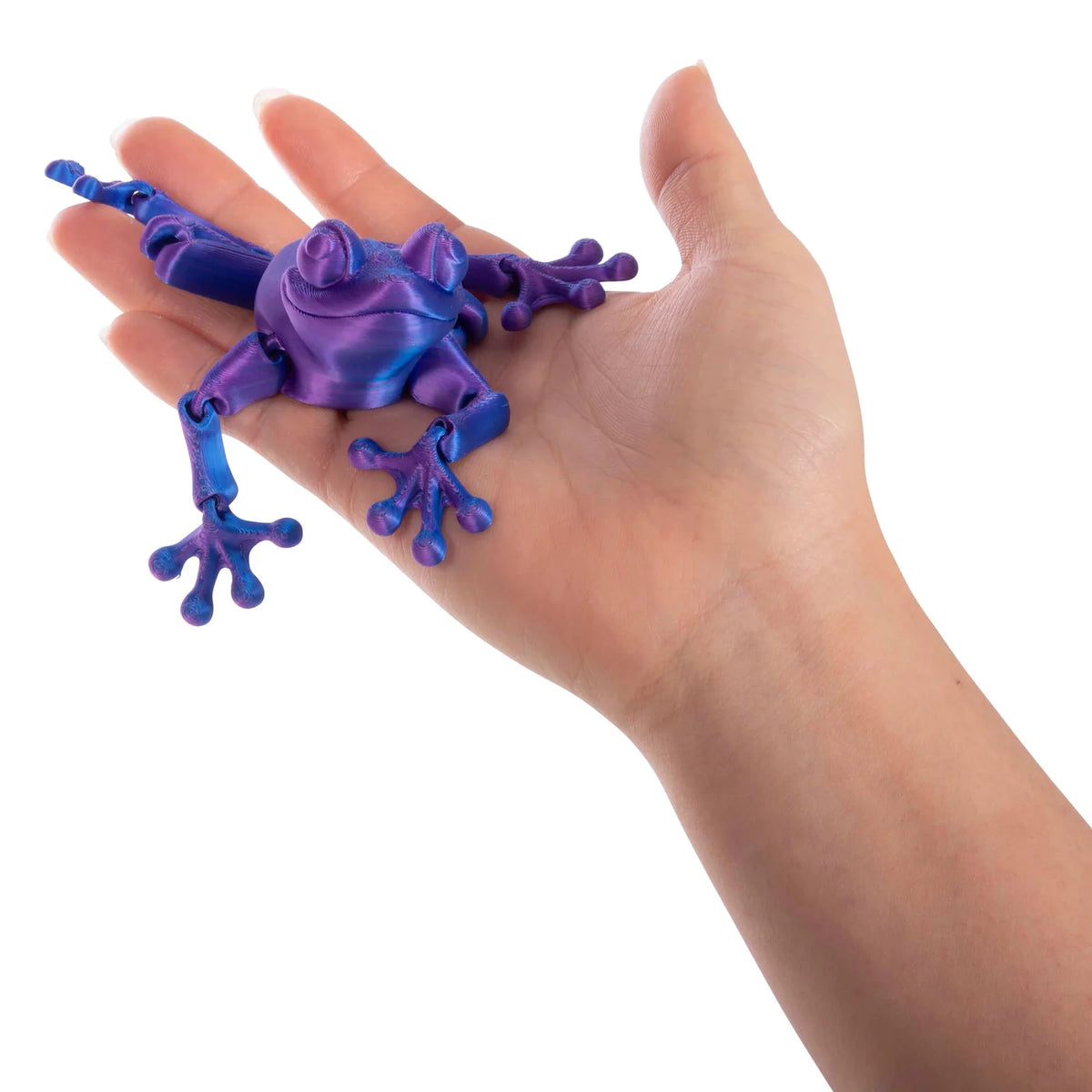 Discovery Zone 3D Sensory Frog