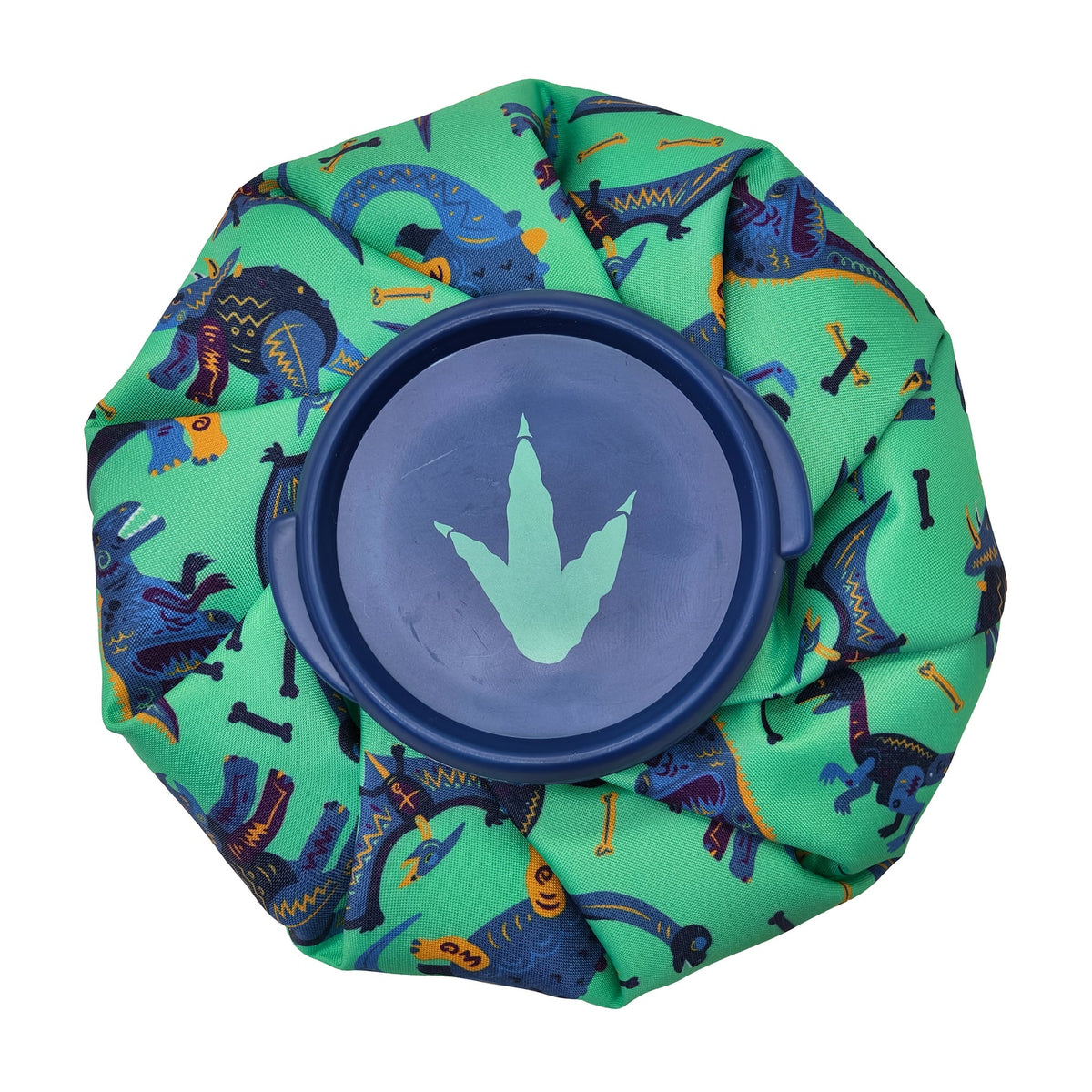 Discovery Zone Dinosaur Ice Pack