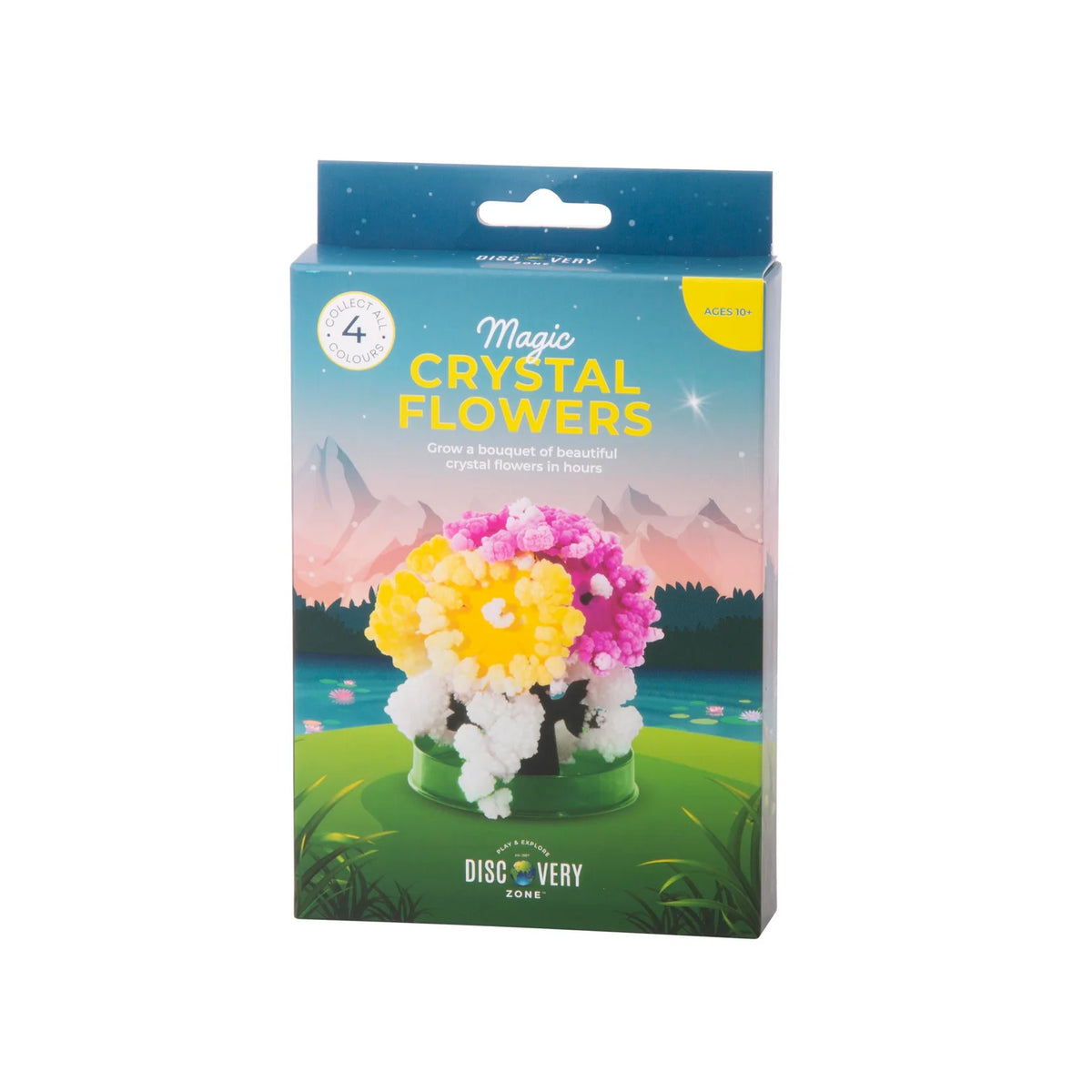 Discovery Zone Magic Crystal Flowers