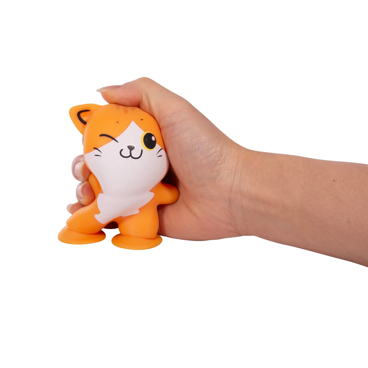 Discovery Zone Sticky Paws Kitten 2 Assorted Designs