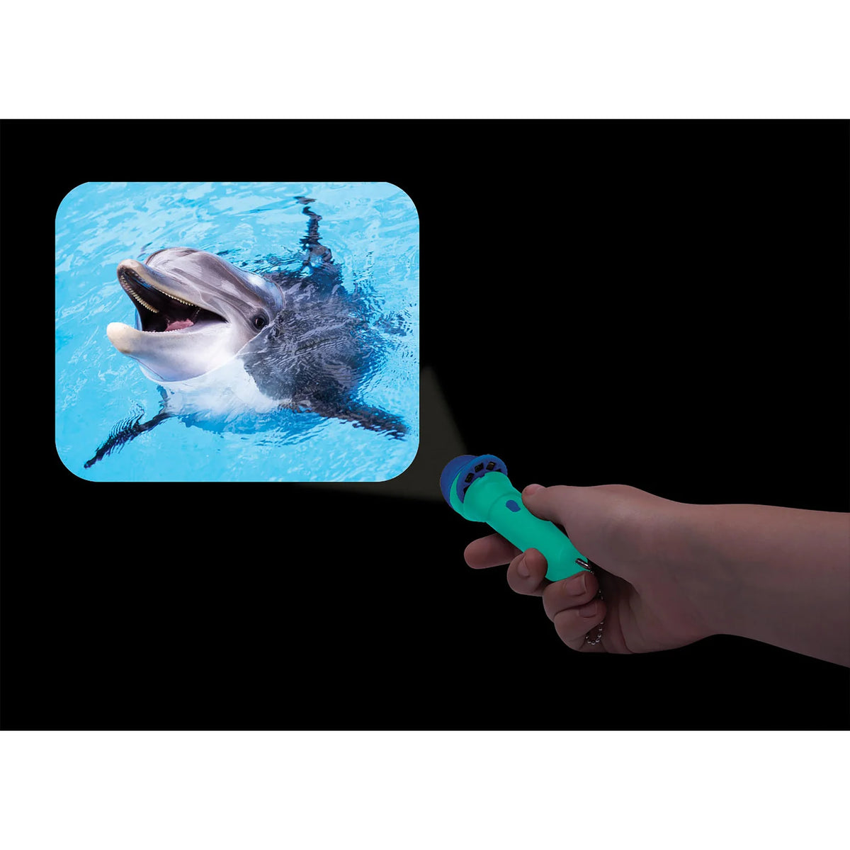 Discovery Zone Torch Projector Sealife