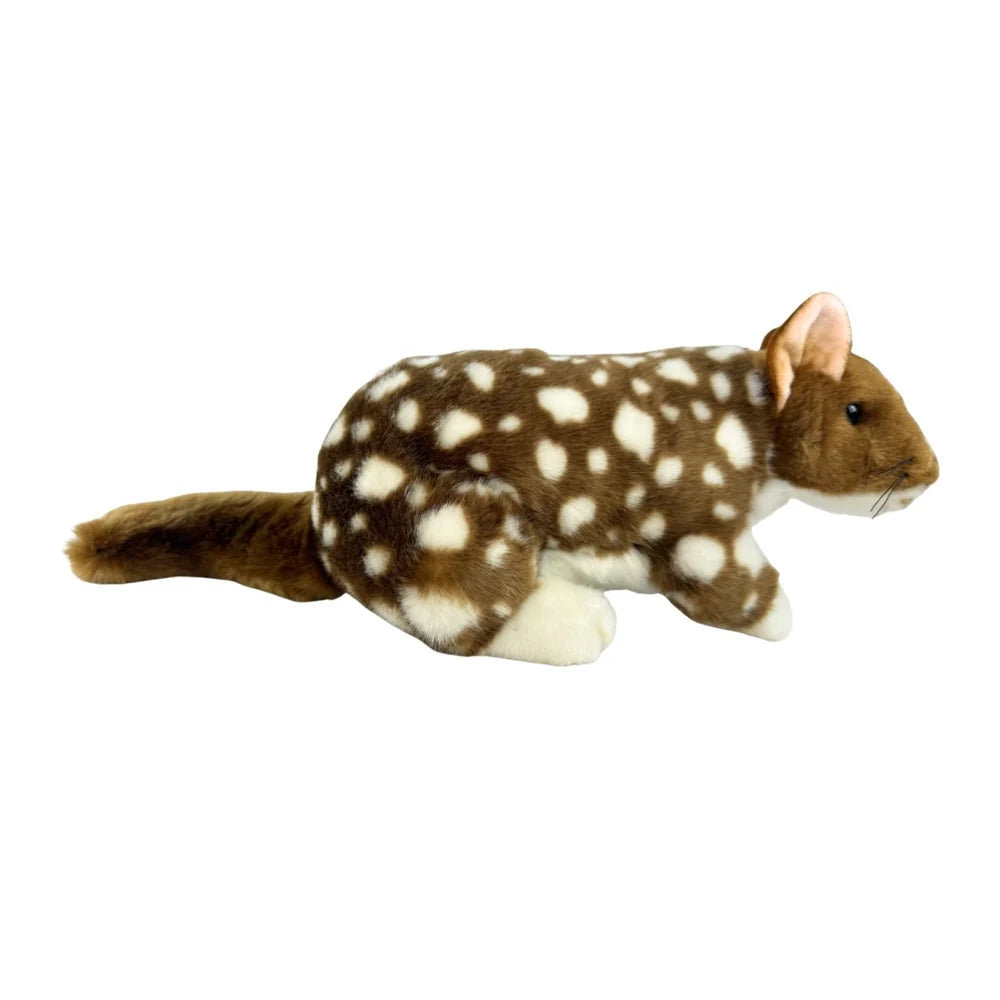 Dotti 30cm Plush Eastern Quoll