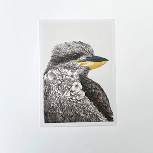 Marini Ferlazzo Postcard Laughing Kookaburra