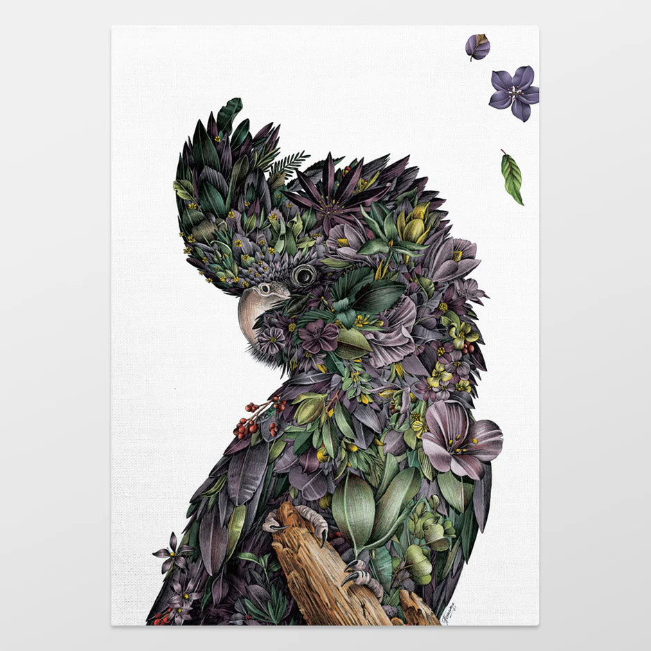 Marini Ferlazzo Organic Cotton Tea Towel Red Tailed Black Cockatoo