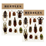 Rex London Temporary Tattoos Beetles