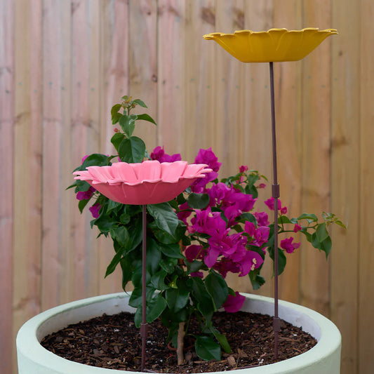 Annabel Trends Bamboo Sunflower Bird Bath Yellow