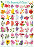 Eurographics 1000pc Jigsaw Puzzle Language of Flowers